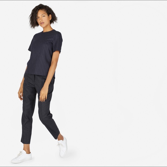 Everlane Tops - Everlane Wool Flannel Pinstripe Back Zip Tee